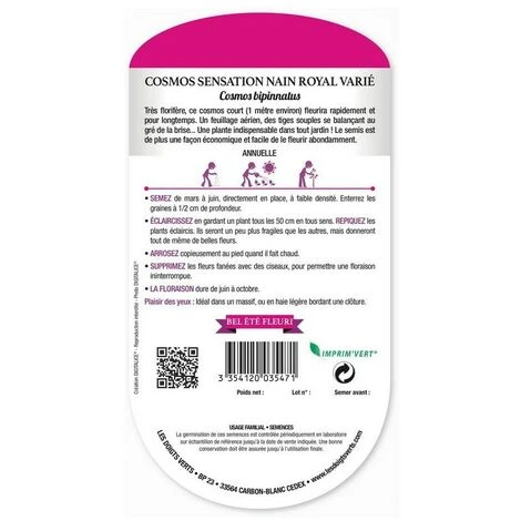 Graines - Cosmos Sensation Nain Royal Varié 4 Graines - Cosmos Sensation Nain Royal Varié – Image 2