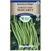 Graines - Haricot Nain Mascaret -Pas Cher Flore Calme Magasin 36810310 1