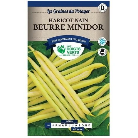 Graines - Haricot Beurre Minidor 3 Graines - Haricot Beurre Minidor