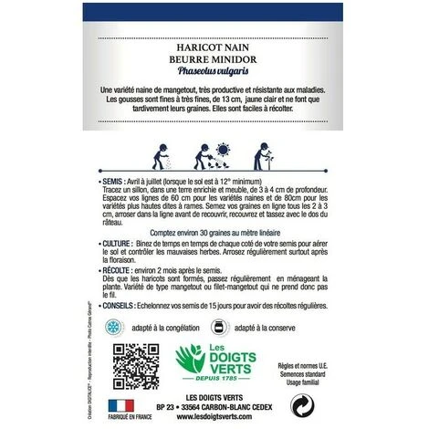 Graines - Haricot Beurre Minidor 4 Graines - Haricot Beurre Minidor – Image 2