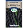 Graines - Haricot Nain Purple Queen -Pas Cher Flore Calme Magasin 36810331 1