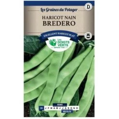 Graines - Haricot Nain Bredero