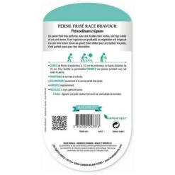 Graines- Persil Frisé Race Bravour