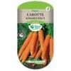 Graines - Carotte Romance Hyb. F1 2 Graines - Carotte Romance Hyb. F1 -Pas Cher Flore Calme Magasin 36874722 1
