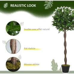 OUTSUNNY Lauriers Artificiels Topiaires 1,20H M - Lot De 2 Lauriers Boules Artificiels - 741 Feuilles Réalistes Par Pied - Tronc Liane - Pot Inclus Noir Vert -Pas Cher Flore Calme Magasin 37865174 5