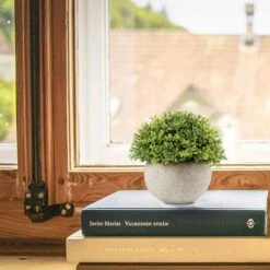 Plantes Artificielles En Pot Faux Mini Plantes Artificielles Herbe Verte Fleur Plantes Vertes En Pot Adaptées à La Décoration De La Salle De Bain (larmes De Bébé Vertes 2pcs) -Pas Cher Flore Calme Magasin 40296336 5