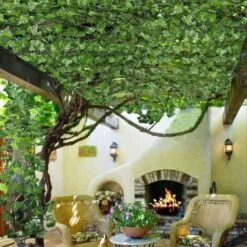 Vigne Artificielle 84 Pieds Lierre Artificielle Exterieur Guirlande Artificiel Plantes Pendaison Fausses Vignes En Soie Mariage Jardin Lot De 12 8 Vigne Artificielle 84 Pieds Lierre Artificielle Exterieur Guirlande Artificiel Plantes Pendaison Fausses Vignes En Soie Mariage Jardin Lot De 12 -Pas Cher Flore Calme Magasin 40480055 2