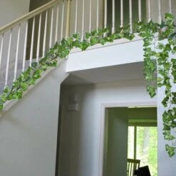 Vigne Artificielle 84 Pieds Lierre Artificielle Exterieur Guirlande Artificiel Plantes Pendaison Fausses Vignes En Soie Mariage Jardin Lot De 12 10 Vigne Artificielle 84 Pieds Lierre Artificielle Exterieur Guirlande Artificiel Plantes Pendaison Fausses Vignes En Soie Mariage Jardin Lot De 12 -Pas Cher Flore Calme Magasin 40480055 4