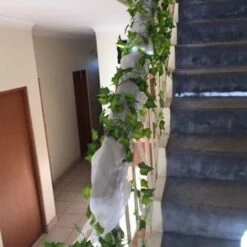 Vigne Artificielle 84 Pieds Lierre Artificielle Exterieur Guirlande Artificiel Plantes Pendaison Fausses Vignes En Soie Mariage Jardin Lot De 12 11 Vigne Artificielle 84 Pieds Lierre Artificielle Exterieur Guirlande Artificiel Plantes Pendaison Fausses Vignes En Soie Mariage Jardin Lot De 12 -Pas Cher Flore Calme Magasin 40480055 5