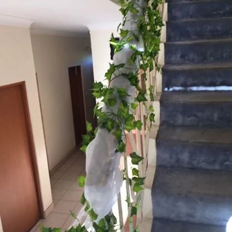 Vigne Artificielle 84 Pieds Lierre Artificielle Exterieur Guirlande Artificiel Plantes Pendaison Fausses Vignes En Soie Mariage Jardin Lot De 12 7 Vigne Artificielle 84 Pieds Lierre Artificielle Exterieur Guirlande Artificiel Plantes Pendaison Fausses Vignes En Soie Mariage Jardin Lot De 12 – Image 5