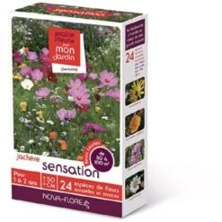 Prairies Fleuries : Sensation 50 à 100 M2