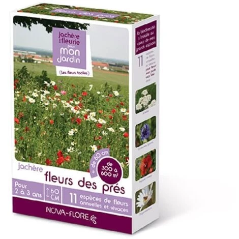 Prairies Fleuries : Jachères Fleurs Des Prés 300 à 600 M2 3 Prairies Fleuries : Jachères Fleurs Des Prés 300 à 600 M2