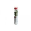 Coffre Rose Premium Rouge -Pas Cher Flore Calme Magasin 43383865 1