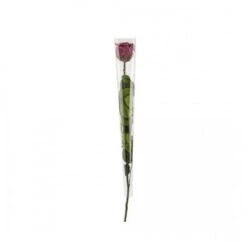 Rose En Tige Stabilisée Coloris Pourpre