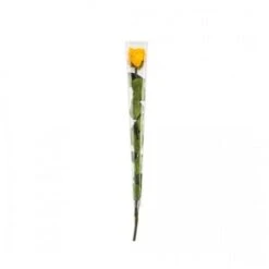 Rose En Tige Stabilisée Coloris JAUNE