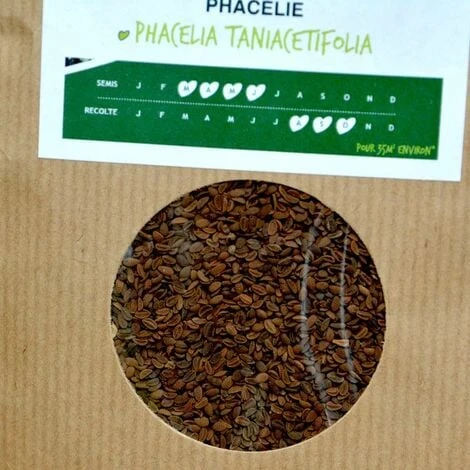 Graines De Phacélie, Engrais Vert Mellifère. 500 G 5 Graines De Phacélie, Engrais Vert Mellifère. 500 G – Image 3