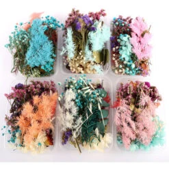 2 Boites Vraies Fleurs Sechees Naturelles Melangees Plusieurs Fleurs Sechees Assorties Pour Bricolage Artisanat Fait Main Decoration De La Maison Fleur D'Herbier Pour Collier Pendentif Bijoux Materiau