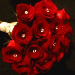 Fleur Épingles, épingles à Fleurs En Cristal De Diamant, épingles à Bouquet Pour La Mariée Bricolage Couture Artisanat Boutonnière, Couture Bricolage, Couture, Décorations 8X52mm Fontainebleau 100Pcs 11 Fleur Épingles, épingles à Fleurs En Cristal De Diamant, épingles à Bouquet Pour La Mariée Bricolage Couture Artisanat Boutonnière, Couture Bricolage, Couture, Décorations 8X52mm Fontainebleau 100Pcs -Pas Cher Flore Calme Magasin 47421317 5