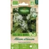 Vilmorin Ail Des Ours Bio -Pas Cher Flore Calme Magasin 48371676 1