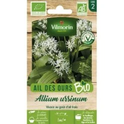 Vilmorin Ail Des Ours Bio