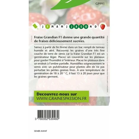 Graines Passion , Sachet De Graines Fraise Grandian F1 4 Graines Passion , Sachet De Graines Fraise Grandian F1 – Image 2