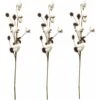 Paquet De 3 Tiges De Coton Fermes Décoration Florale Pics Rustique Style Remplisseur De Vase Rustique Coton Branches 68cm Par Tige Décoration Fleur -Pas Cher Flore Calme Magasin 52506704 1