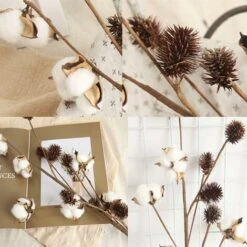 Paquet De 3 Tiges De Coton Fermes Décoration Florale Pics Rustique Style Remplisseur De Vase Rustique Coton Branches 68cm Par Tige Décoration Fleur -Pas Cher Flore Calme Magasin 52506704 3