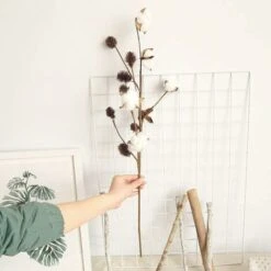 Paquet De 3 Tiges De Coton Fermes Décoration Florale Pics Rustique Style Remplisseur De Vase Rustique Coton Branches 68cm Par Tige Décoration Fleur -Pas Cher Flore Calme Magasin 52506704 4