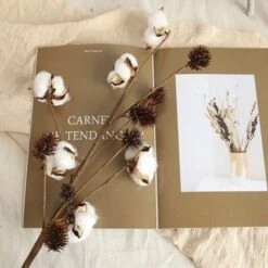 Paquet De 3 Tiges De Coton Fermes Décoration Florale Pics Rustique Style Remplisseur De Vase Rustique Coton Branches 68cm Par Tige Décoration Fleur -Pas Cher Flore Calme Magasin 52506704 5