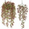 Ensoleillé Vigne Suspendue Artificielle,Lierre Faux Vignes Fausses Plantes Suspendues En Plein Air Tenture Murale Lierre Porche Patio Arc Balcon Panier Jardin Fête De Mariage Décoration-3pack/70cm -Pas Cher Flore Calme Magasin 55285829 1