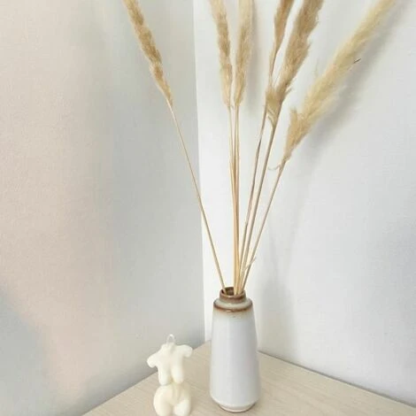 Pampas Séchées Naturelles H65cm, Set De 6pcs - SILUMEN 4 Pampas Séchées Naturelles H65cm, Set De 6pcs - SILUMEN – Image 2