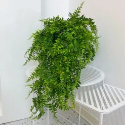 4 Pièces Plantes Artificielles Suspendues, Lierre Artificielle Plantes Exterieur Intérieur Guirlande Fausse Plante Tombante Verte Décoration -Pas Cher Flore Calme Magasin 57343287 5