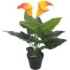 Plante Artificielle Avec Pot Lis Calla 45 Cm Rouge Et Jaune VidaXL 2 Plante Artificielle Avec Pot Lis Calla 45 Cm Rouge Et Jaune VidaXL -Pas Cher Flore Calme Magasin 5886922 1