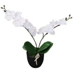 Plante Artificielle Avec Pot Orchidée 30 Cm Blanc VidaXL