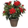 Azalée Artificielle Rouge Dans Un Pot Gris ø11,5cmx27xø20cm 1 Azalée Artificielle Rouge Dans Un Pot Gris ø11,5cmx27xø20cm -Pas Cher Flore Calme Magasin 59418437 1