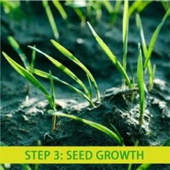 Tapis De Semences De Gazon Biodégradable Tapis De Culture D'herbe Tapis De Germination De Plantes Isolation Thermique Coupe-Vent 10mx0.2m -Pas Cher Flore Calme Magasin 59675167 4