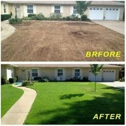 Tapis De Semences De Gazon Biodégradable Tapis De Culture D'herbe Tapis De Germination De Plantes Isolation Thermique Coupe-Vent 10mx0.2m -Pas Cher Flore Calme Magasin 59675167 5