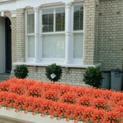 LYCXAMES -- Plantes Et Fleurs Artificielles D'extérieur Résistantes Aux UV - Orange Rouge 8PCS 9 LYCXAMES -- Plantes Et Fleurs Artificielles D'extérieur Résistantes Aux UV - Orange Rouge 8PCS -Pas Cher Flore Calme Magasin 59951665 3