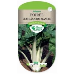 Poirée Verte à Carde Blanche