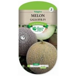 Melon Galia HYB.F1