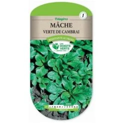 Mâche Verte De Cambrai