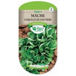 Mâche Coquille De Louviers