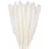 Premier® 30 Pcs Herbe De La Pampa, 45 Cm Naturel Pampa Fleur Bouquet De Fleurs Sechees Pour Vases, Blanc Boho Decoration Chambre Maison Salon, Mariage Photographier Table Décoration-blanc -Pas Cher Flore Calme Magasin 60551324 1