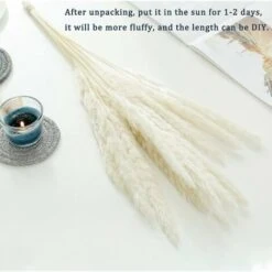 Premier® 30 Pcs Herbe De La Pampa, 45 Cm Naturel Pampa Fleur Bouquet De Fleurs Sechees Pour Vases, Blanc Boho Decoration Chambre Maison Salon, Mariage Photographier Table Décoration-blanc -Pas Cher Flore Calme Magasin 60551324 2