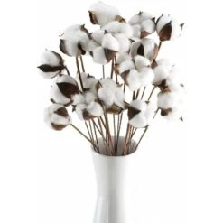 20 Pièces Branche De Coton Coton Naturel Fleurs Séchées Branches De Coton Fleurs Artificielles Fleurs Artificielles Décoratives Fleurs Séchées Pour Vases Fêtes De Mariage Cafés Décoration De Chambre B 9 20 Pièces Branche De Coton Coton Naturel Fleurs Séchées Branches De Coton Fleurs Artificielles Fleurs Artificielles Décoratives Fleurs Séchées Pour Vases Fêtes De Mariage Cafés Décoration De Chambre B -Pas Cher Flore Calme Magasin 61309831 3