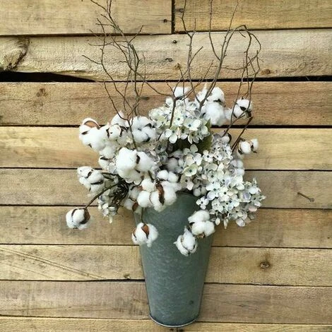 20 Pièces Branche De Coton Coton Naturel Fleurs Séchées Branches De Coton Fleurs Artificielles Fleurs Artificielles Décoratives Fleurs Séchées Pour Vases Fêtes De Mariage Cafés Décoration De Chambre B 6 20 Pièces Branche De Coton Coton Naturel Fleurs Séchées Branches De Coton Fleurs Artificielles Fleurs Artificielles Décoratives Fleurs Séchées Pour Vases Fêtes De Mariage Cafés Décoration De Chambre B – Image 4