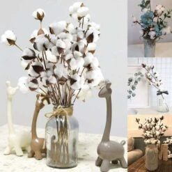 20 Pièces Branche De Coton Coton Naturel Fleurs Séchées Branches De Coton Fleurs Artificielles Fleurs Artificielles Décoratives Fleurs Séchées Pour Vases Fêtes De Mariage Cafés Décoration De Chambre B 11 20 Pièces Branche De Coton Coton Naturel Fleurs Séchées Branches De Coton Fleurs Artificielles Fleurs Artificielles Décoratives Fleurs Séchées Pour Vases Fêtes De Mariage Cafés Décoration De Chambre B -Pas Cher Flore Calme Magasin 61309831 5