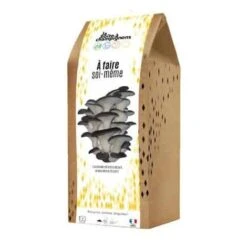 Kit Champignons Boite à Faire Soi-même. Multi. Marque : La Boite à Champignons. Réf. : DIY-AD