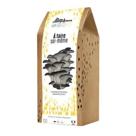Kit Champignons Boite à Faire Soi-même. Multi. Marque : La Boite à Champignons. Réf. : DIY-AD 3 Kit Champignons Boite à Faire Soi-même. Multi. Marque : La Boite à Champignons. Réf. : DIY-AD