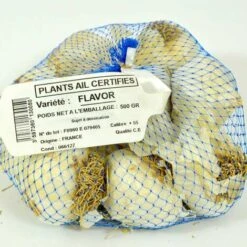 Ail Rose Variété Flavor. Bulbes à Planter - Filet 500 G -Pas Cher Flore Calme Magasin 61716982 3
